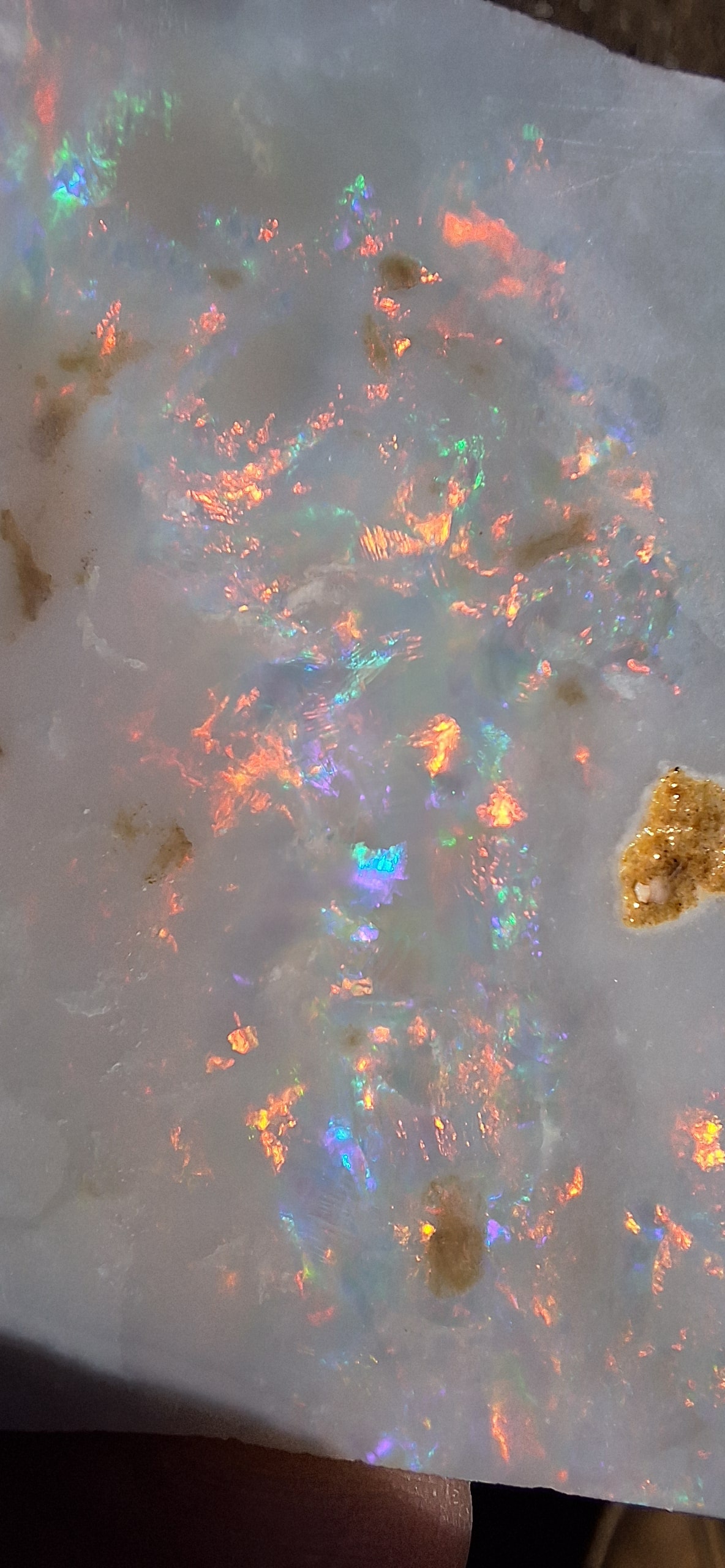Polished Australian opal gemstone showing vivid colour play